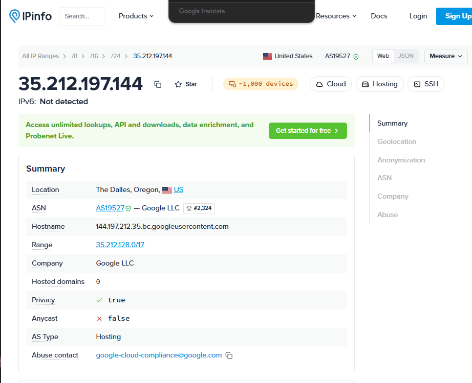 IPinfo lookup showing IP address, location, ASN, company, privacy status, and AS type