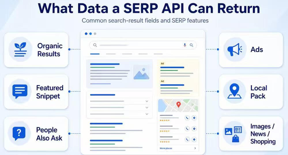 SERP API data fields including organic results ads local packs and People Also Ask