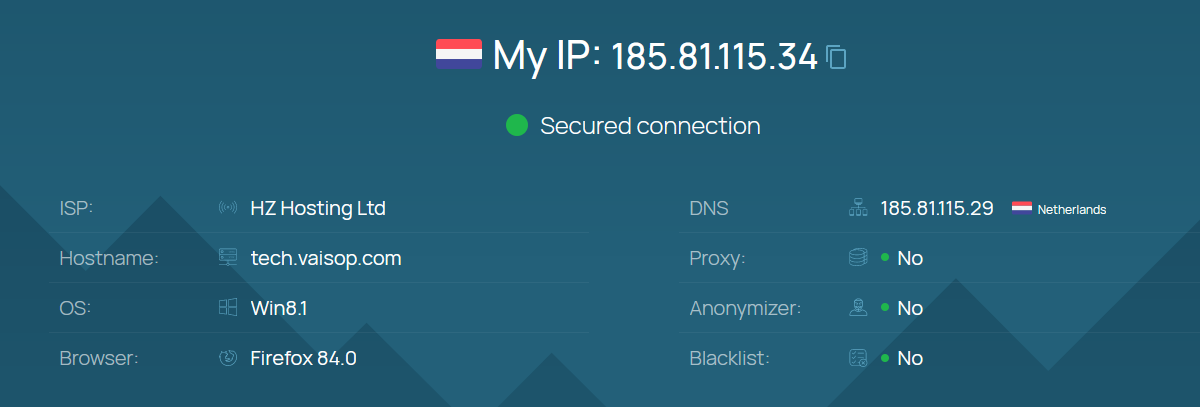 Whoer diagnostic results showing IP ISP DNS proxy and anonymity signals