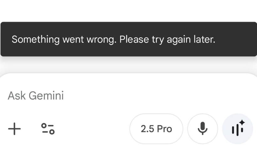 Gemini Something went wrong please try again later error message